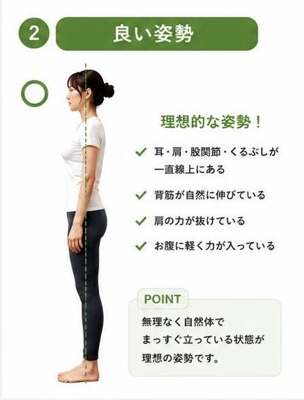 【大森駅の整体】猫背・ストレートネックはどちらが危険？姿勢タイプ診断で根本改善！